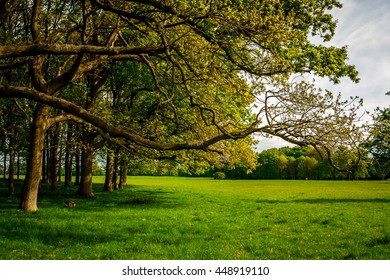 Phoenix Park In Dublin