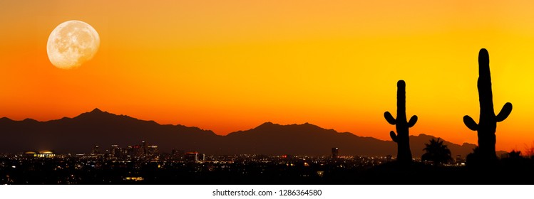 Phoenix Sunset with cacti