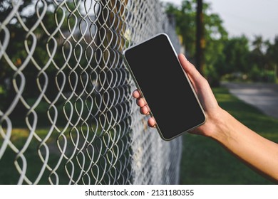 Phone In The Hand Of A Young Girl. Against The Background Of A Steel Wire Fence And Nature