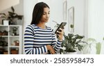 Phone, home and Indian woman with student application, social media and college portal. Message, plants and person on mobile for university website, scholarship news and communication in living room