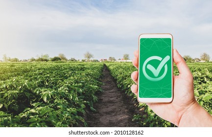 Phone with a quality mark on a farm plantation. Growing organic vegetables. Control permissible doses of harmful chemicals. Certification of agricultural products. High crop quality. Ready to harvest