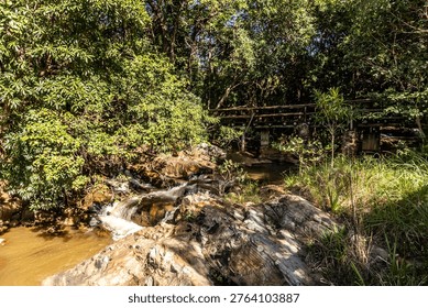 The Phophonyane river, where it flows between the lush riverine forest, with a footbridge in the background, at the Phophonyane Nature Reserve.