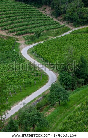 Similar – Image, Stock Photo serpentine Ahr valley