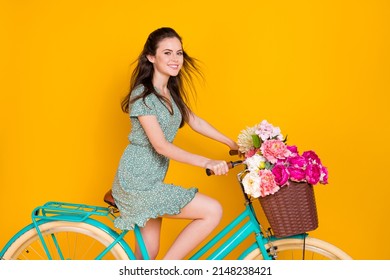 Photo of adorable pretty lady dressed green dress driving cycle pink bunch wind blowing isolated yellow color background
