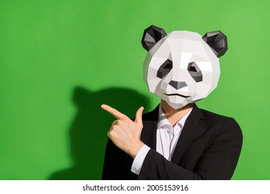 Photo of adviser business guy direct finger empty space wear panda head black suit isolated on green color background