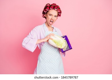 Photo Of Aggressive Mad Housewife Hold Grate Cabbage Wear Purple Bathrobe Dotted Apron Isolated On Pink Color Background