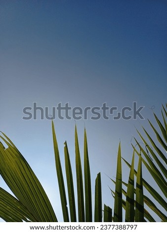 Similar – Image, Stock Photo Let the grass grow over it…