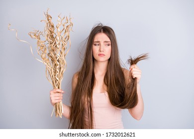 Photo Of Attractive Stressed Lady Hold Dry Low Hydration Balance Hairdo Ends Long Damaged Thin Weak Like Straw Curls Wear Beige Singlet Isolated Grey Color Background