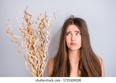 Photo Of Attractive Stressed Worried Lady Dry Low Hydration Balance Hairdo Long Damaged Thin Weak Like Straw Curls Wear Beige Singlet Isolated Grey Color Background