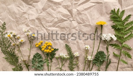 Photo background of crumpled kraft paper with field wild yellow and white flowers, green plant leaves at the bottom of the background, frame and space for text, close-up. Natural concept.