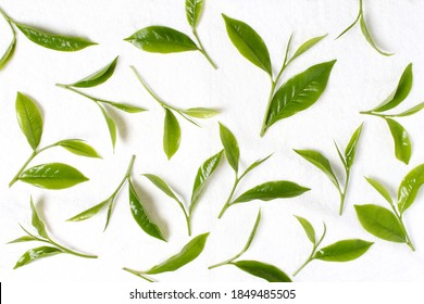 お茶の葉 イラスト の写真素材 画像 写真 Shutterstock