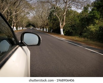 A Photo Of A Beautiful Marine Drive Road Alongside Bay Of Bengal Coast At Konark, India. 