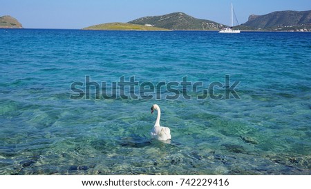 Similar – Image, Stock Photo swan lake Water Waves Lake