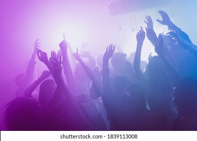 Photo Of Big Company Many People Funny Raise Arms Dance Floor Neon Bright Pink Spotlight Modern Club Indoors