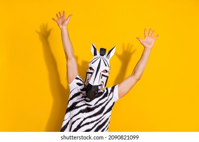 Photo of bizarre incognito guy in zebra mask arms up enjoy mardi-gras festival offer isolated over bright yellow color background