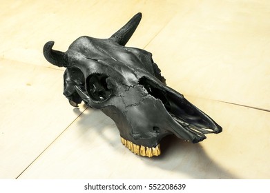 Photo Black Bulls Skull Wooden Background Stock Photo 552208639 ...