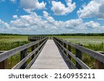 Photo of a board walk going into a lily filled lake with puffy white clouds and blue sky. Crews Lake Wilderness Park, Pasco County, FL