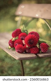 Photo of a bouquet of red dahlias on a bench.