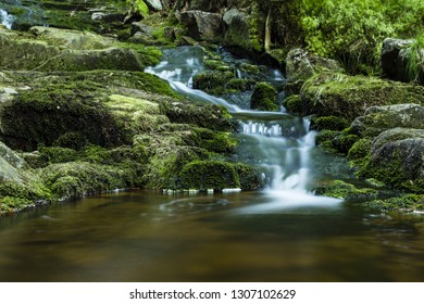 A photo of a calm mountain stream in a summer forest. Small waterfall in the stones covered by fresh green moss.