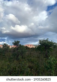 Photo Of The Cerrado Forest Found In Front Of The Horizon In Jalapão, Brazil.