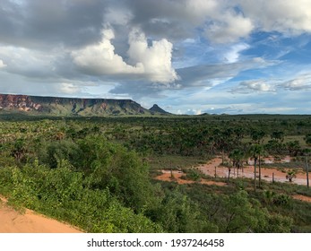 Photo Of The Cerrado Forest Located In Jalapão With A Rocky Plateau Seen On The Horizon, Brazil.