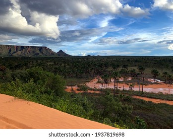 Photo Of The Cerrado Forest Seen From The Dunes Found In Jalapão, Brazil.