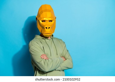 Photo of charismatic confident guy dressed wild animal mask arms crossed empty space isolated blue color background
