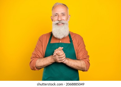 Photo of cheerful aged man hands together welcome visitors barista waiter service isolated over yellow color background - Powered by Shutterstock