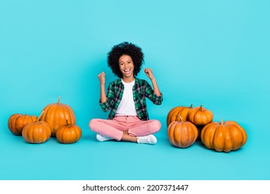 Photo of cheerful astonished lady sit floor rejoice pumpkin harvest wear plaid shirt isolated teal color background - Shutterstock ID 2207371447