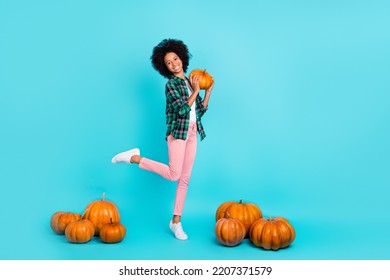 Photo of cheerful charming lady stand one leg hold orange pumpkin have fun wear plaid shirt isolated teal color background - Shutterstock ID 2207371579