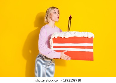 Photo of cheerful nice amazed young lady hold hands big slice cake blow candle isolated on yellow color background
