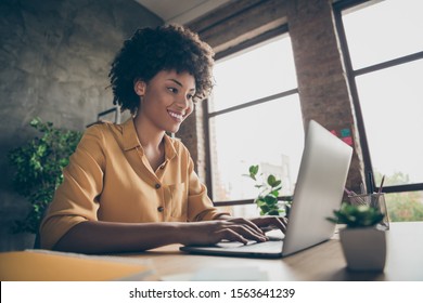 Photo of cheerful positive business lady smiling toothily looking into screen of notebook computer comparing corporate income for previous year with current one