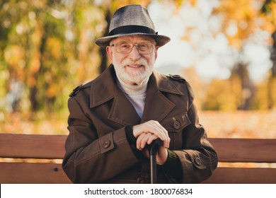 Photo of cheerful retired old grey haired grandpa street central park sit bench positive emotions enjoy sunny day weather hold walking cane stick wear autumn glasses jacket hat outside - Powered by Shutterstock