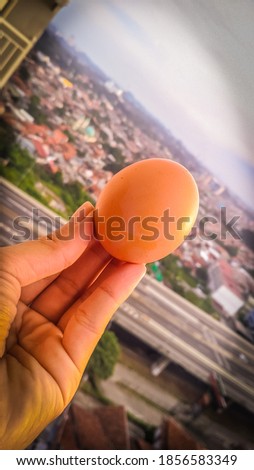 Photo of chicken eggs in hand with best blur background, wallpaper