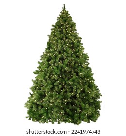 Photo of a Christmas tree. High-resolution photo on a white background.