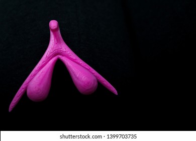 Photo Of Close Pink Clitoris Plastic Clays With Dark Background