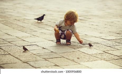 Photo closeup of cute fair-haired blond kid tiny little child baby boy feeding birds with bun sitting on haunches on flag-stone pavement cityscape on blurred grey background, horizontal picture