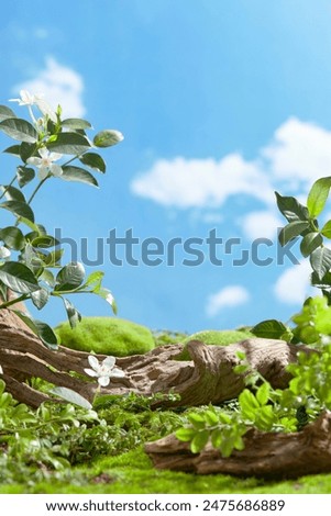 Photo of close-up shot from front on natural scene, against blue sky background. Some dry log in brown color flat lay on green lawn, surrounded by many decorative plants and tiny white flowers
