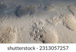 Photo is a closeup of the surface of a lime rock covered rural road.  Looks like a moonscape.