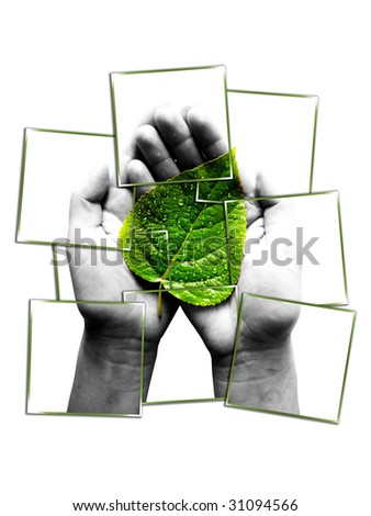 Similar – green senecio leaf in person’s hand macro closeup in nature