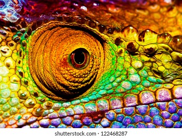 Photo Of Colorful Reptilian Eye, Closeup Head Part Of Chameleon, Multicolor Scaly Skin Of Lizard, African Animal, Beautiful Exotic Iguana, Wild Nature, Fauna Of Rainforest