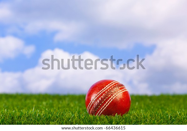 Photo of\
a cricket ball on grass with sky\
background.