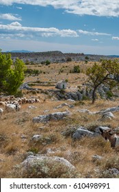 photo of Croatian moutains in Podstrana near Split, Dalmatia, Croatia - Shutterstock ID 610498991