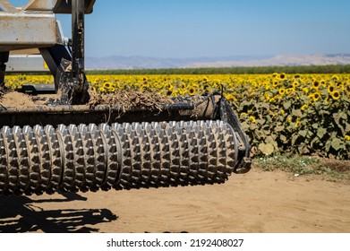 Photo Of A Cultipacker On The Front Of A Tractor At A Sunflower Farm In Esparto, California, In The State's Agricultural Central Valley.