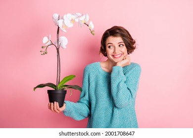 Photo Of Cute Adorable Young Woman Hold Look Pot Flower Hand Fist Cheek Isolated On Pastel Pink Color Background