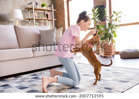 Photo of cute funny small schoolgirl dressed pink t-shirt treating dachshund puppy indoors room home house