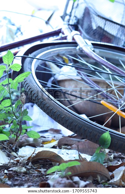 photo\
of a cycle tyre in jungle with blown out\
background