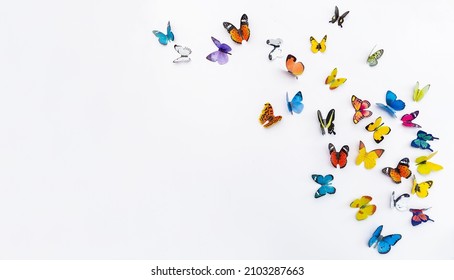 Photo of decorative butterflies pattern isolated on white background with copy space. Fresh spring summer beautiful season flat lay and top view, freedom vivid happiness concept banner