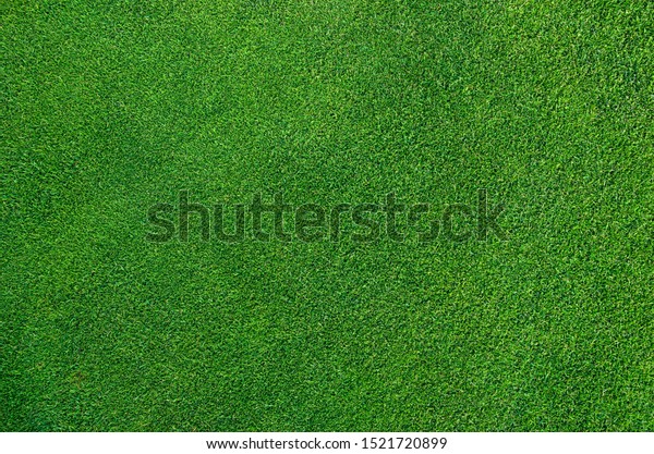 Photo of a dense golf\
green top view