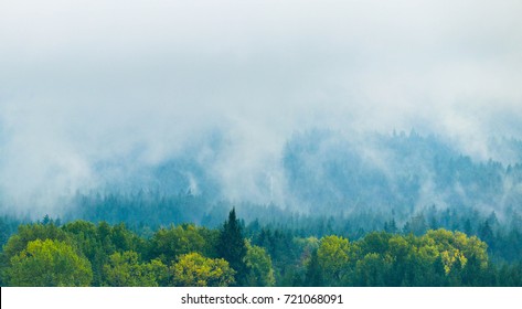 Photo Depicting Beautiful A Foggy Mystic Mountains. Fog Clouds At The Pine Tree Mystical Woods, Morning. Europe, Mysterious Alps Landscape.